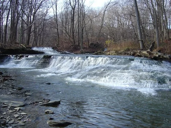 Waterfall_16 Mile Creek_SQweb.jpg