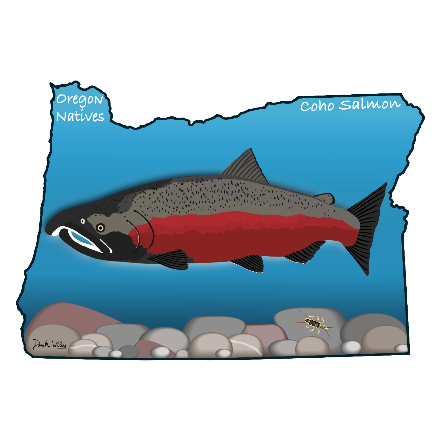 Sticker (Coho Salmon)