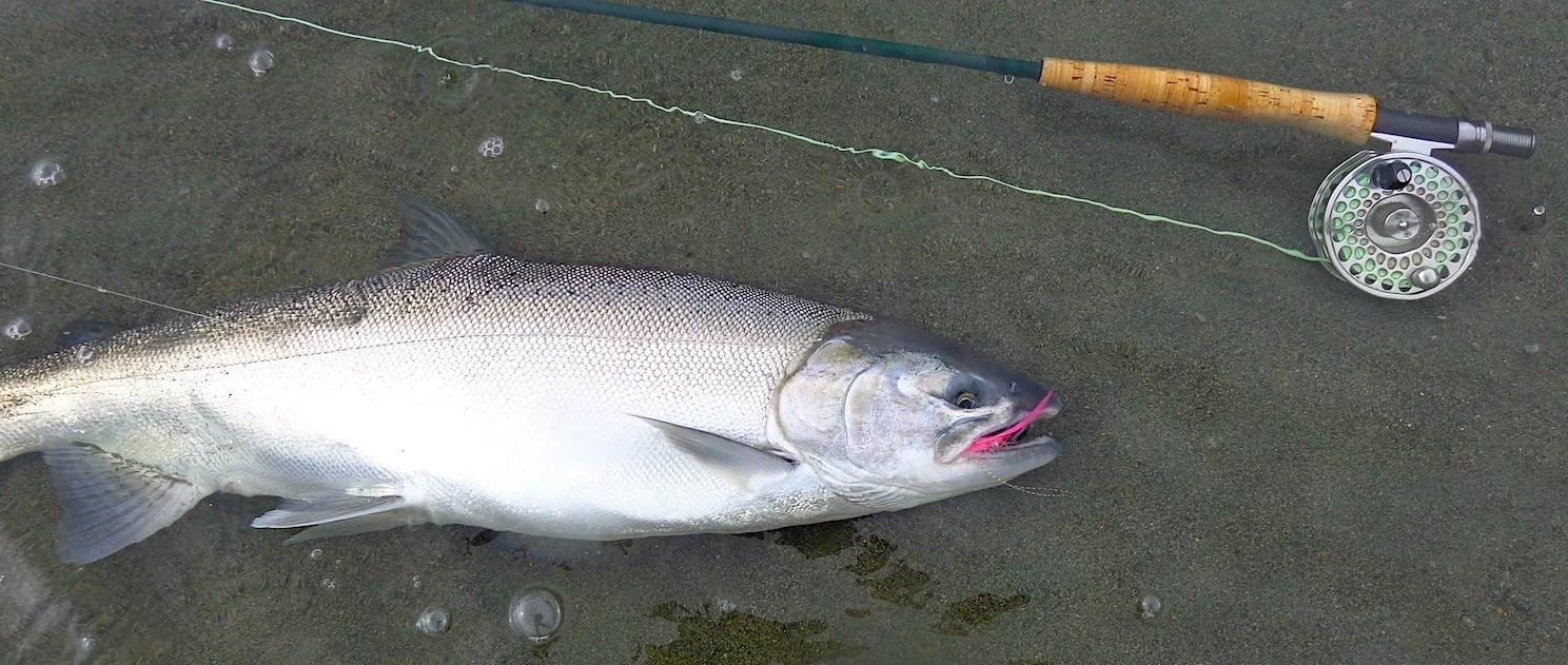 Chromer on the Italion River_SQweb.JPG