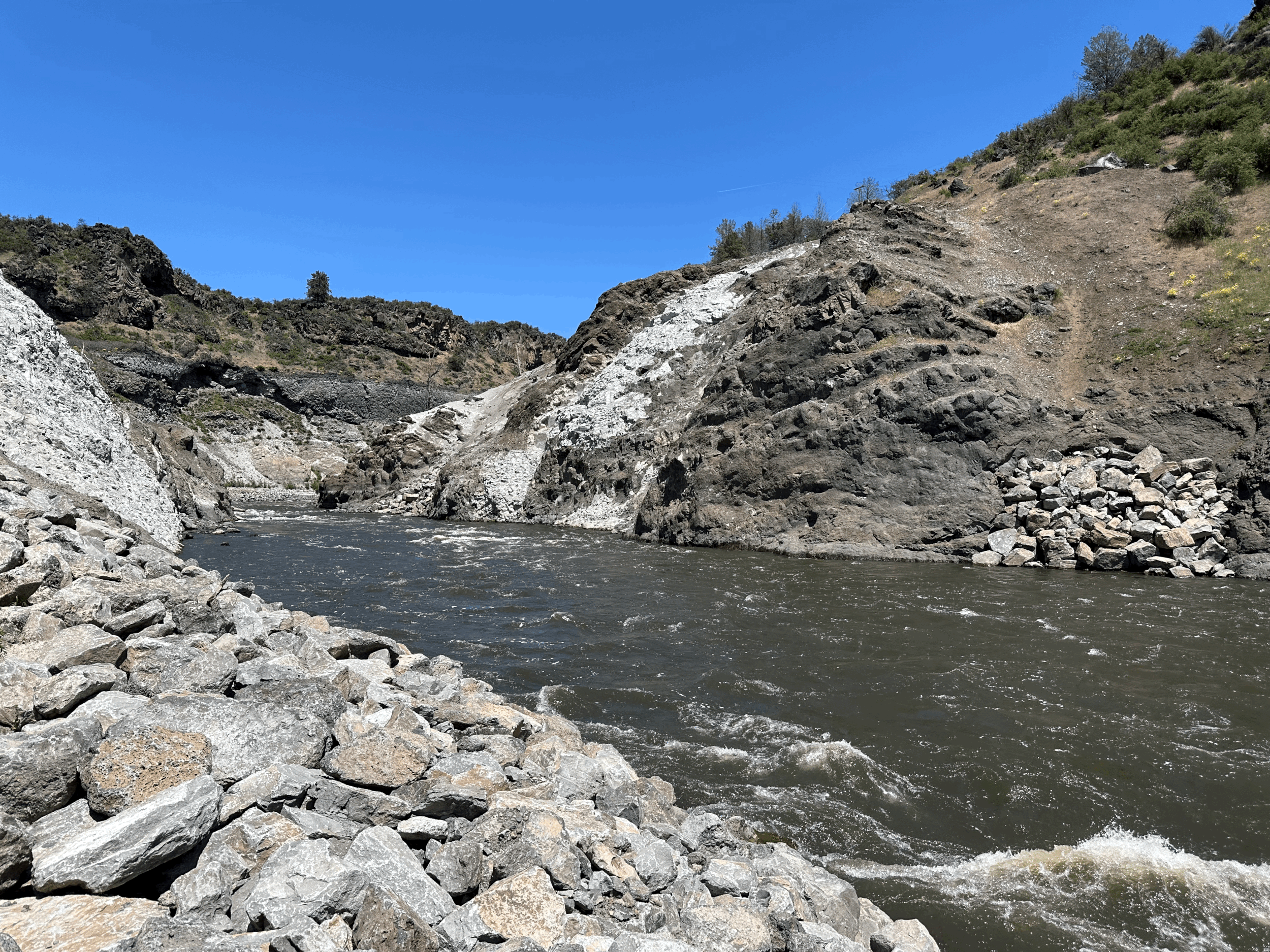 Challenging Conditions Remain in the Klamath Post-Dam Removal 