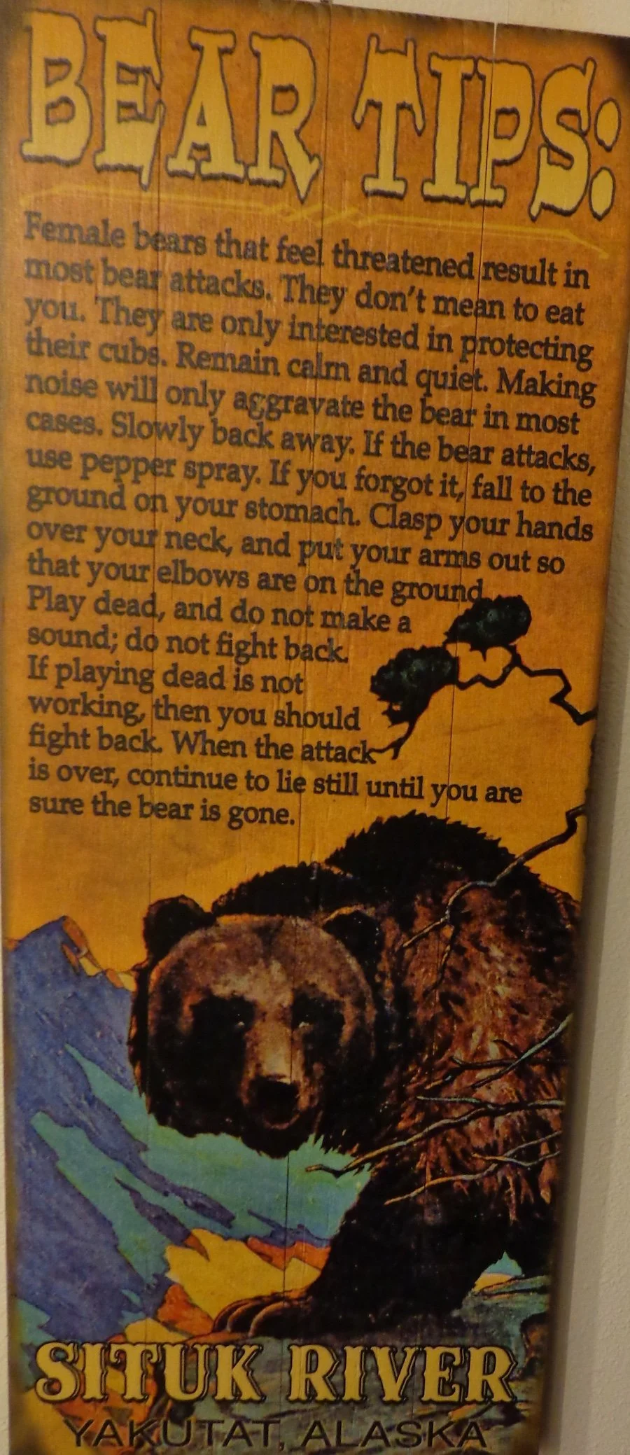 Bear Tips.JPG