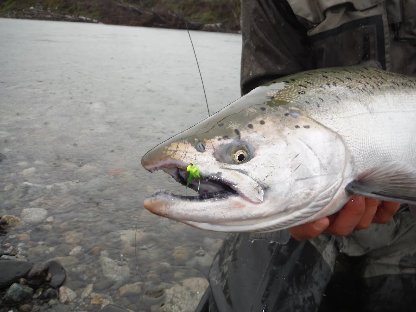 On the Clouser2_SQweb.JPG
