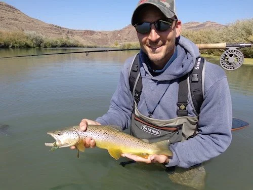 Streamer Brown_SQweb.JPG