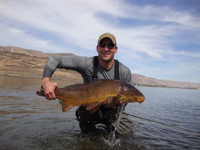 19Ib. Carp on the Fly_Columbia River_SQweb.JPG