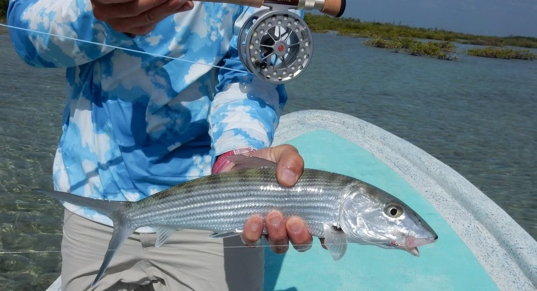 Bonefish_SQweb.JPG