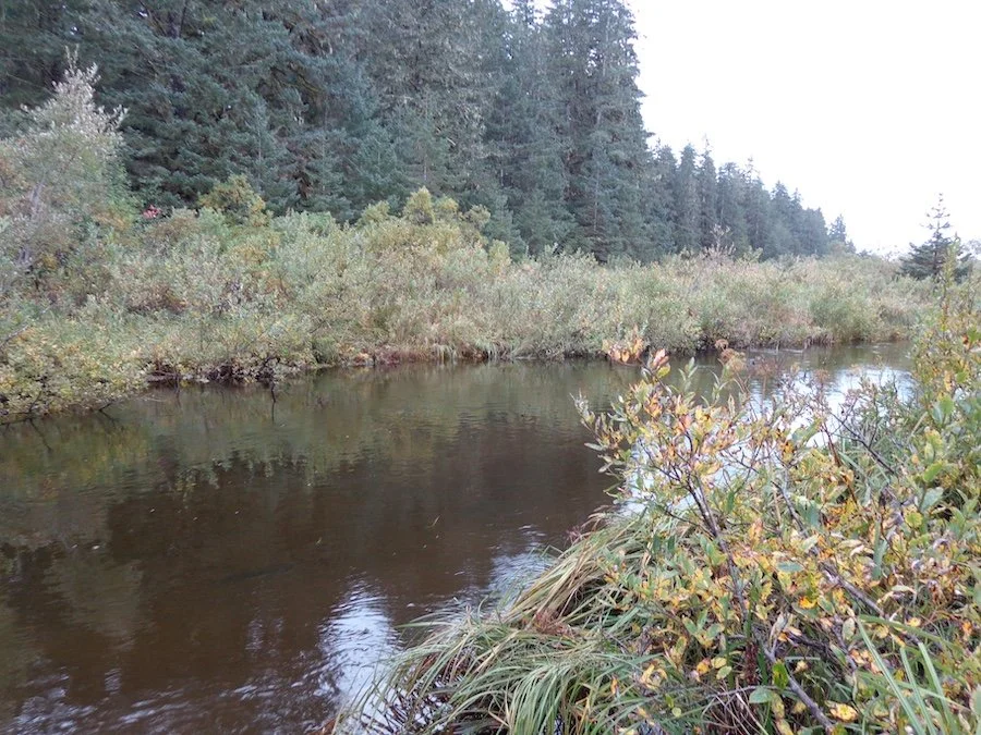 Tawah Creek, AK.JPG