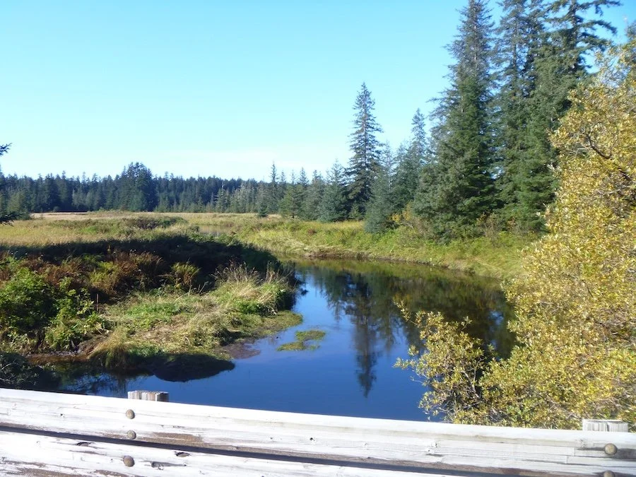 Tawah Creek.JPG