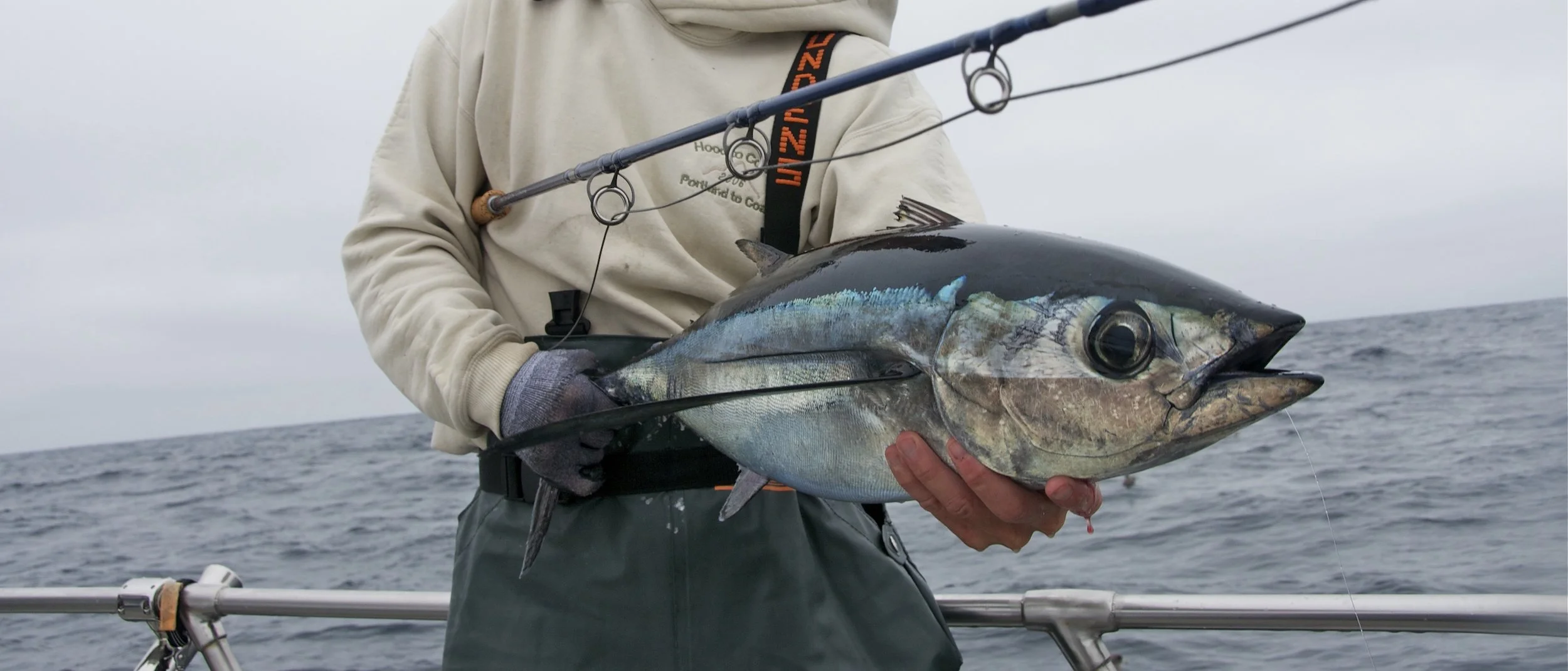 Derek's Tuna Face_SQweb.jpg