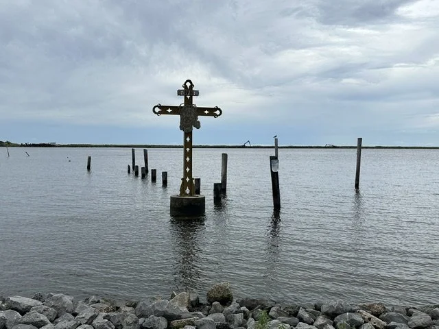 IMG_8999.jpeg