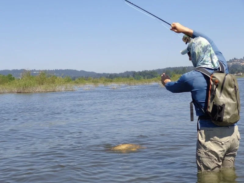 Carp Fight2_SQweb.JPG