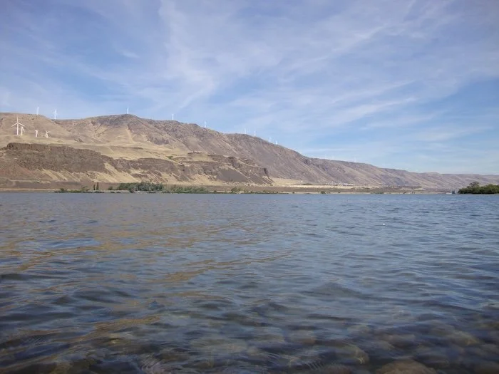 Columbia River Carp Flats_SQweb.JPG
