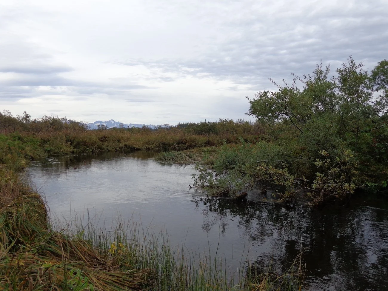 Tawah Creek, AK2.JPG