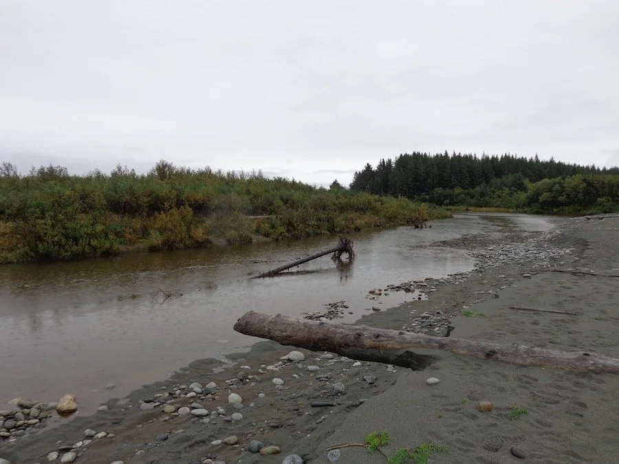 Yana River, AK4.JPG