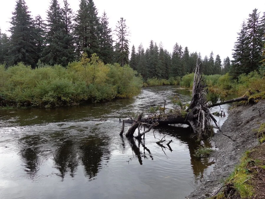 Upper Situk River2.JPG