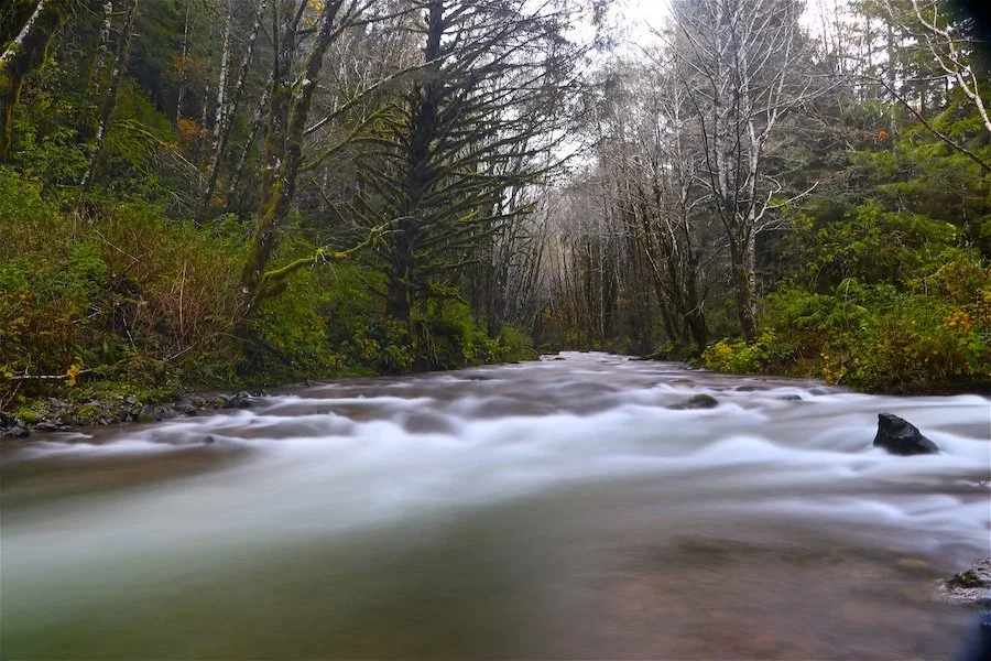 Coastal River_SQweb.jpg