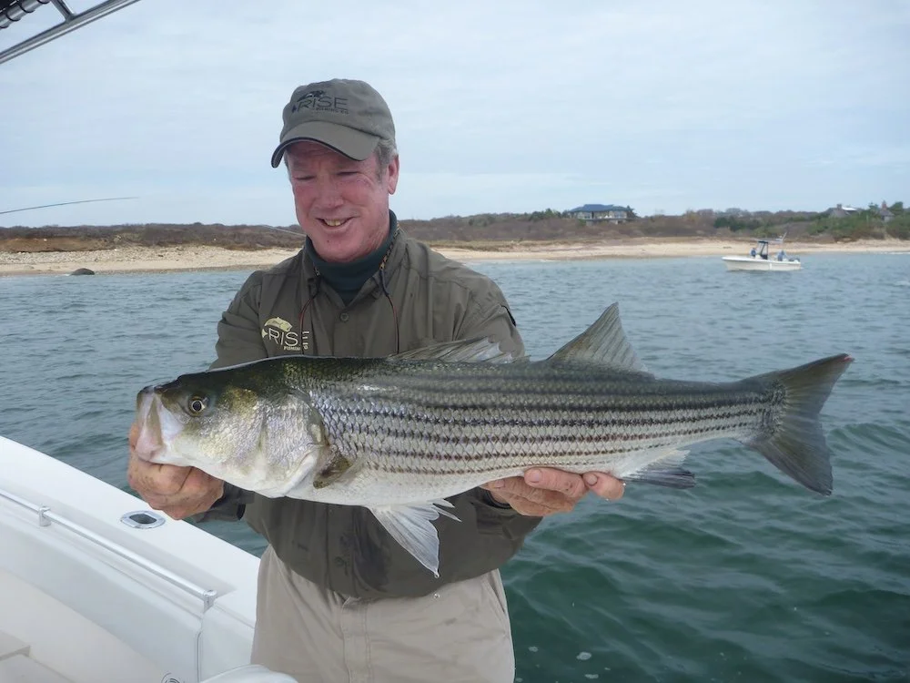 Paul with Bass_SQweb.jpg