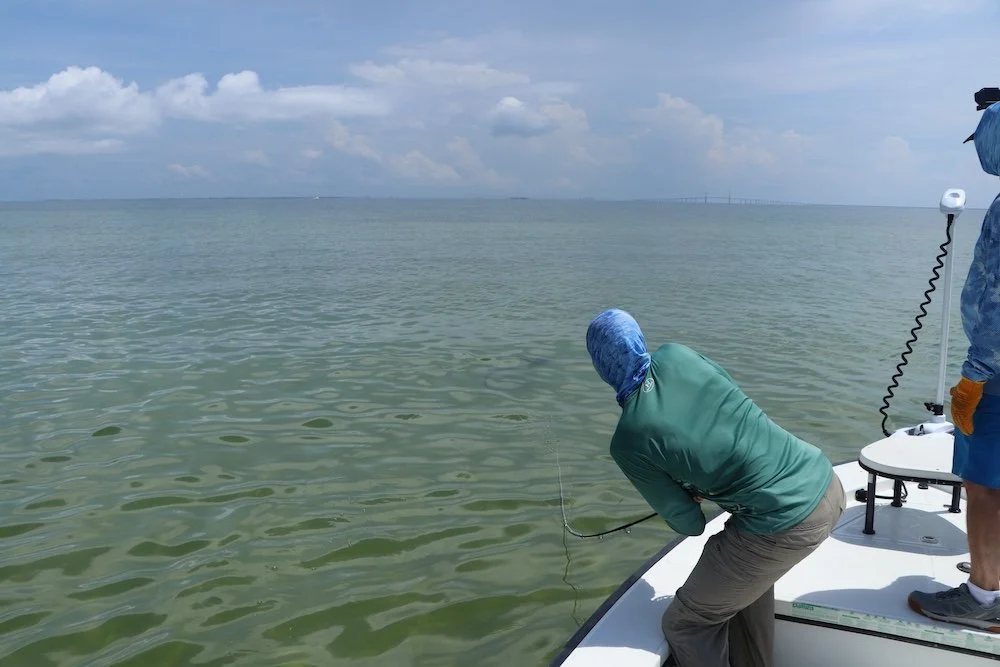 Tarpon Fight2_SQweb.JPG