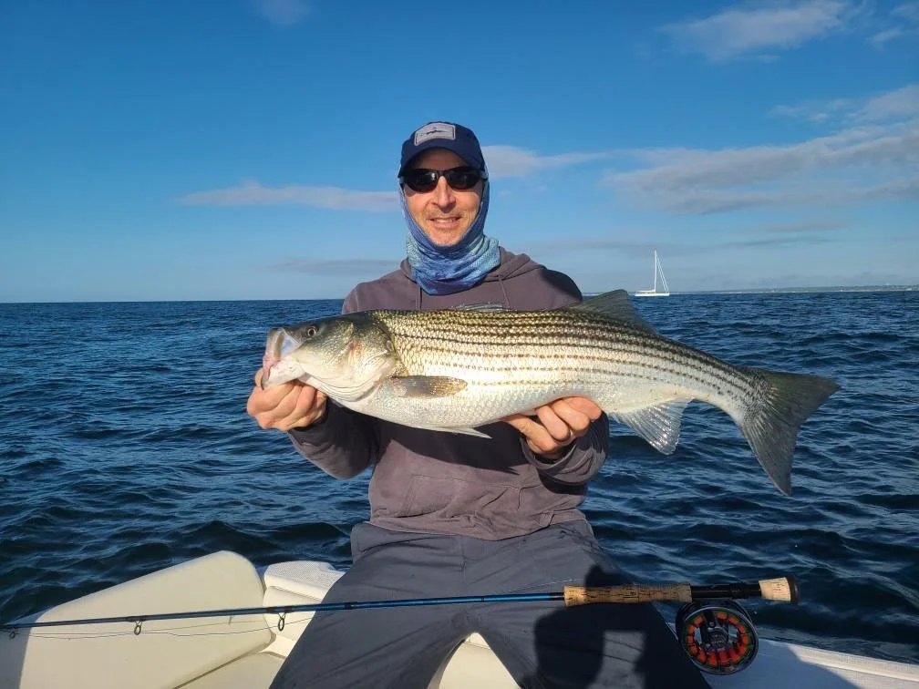 Derek Striper_SQweb.JPG