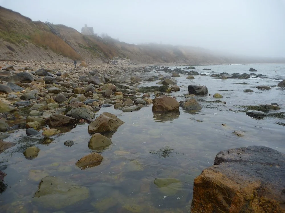 Shoreline_SQweb.jpg