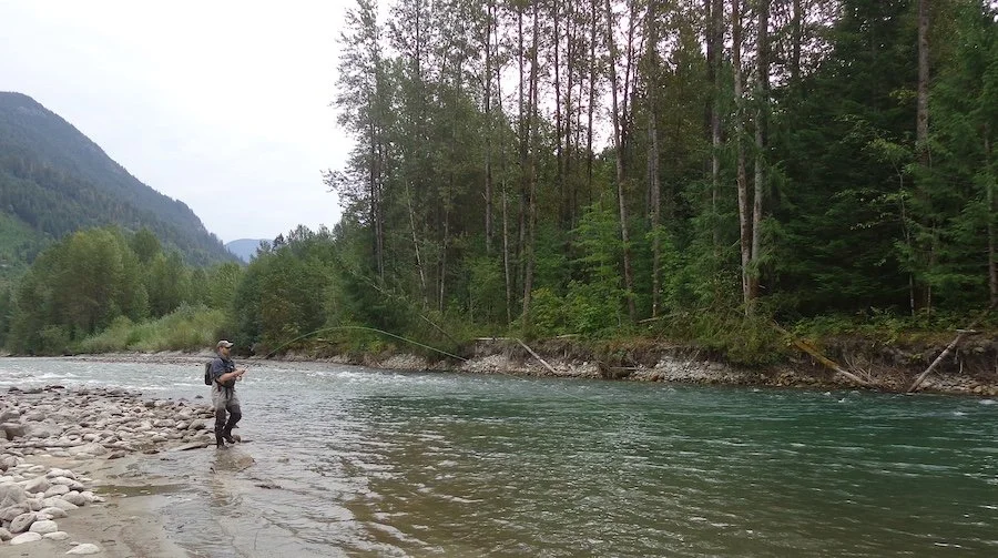 Fighting a Pink Salmon_SQweb.JPG