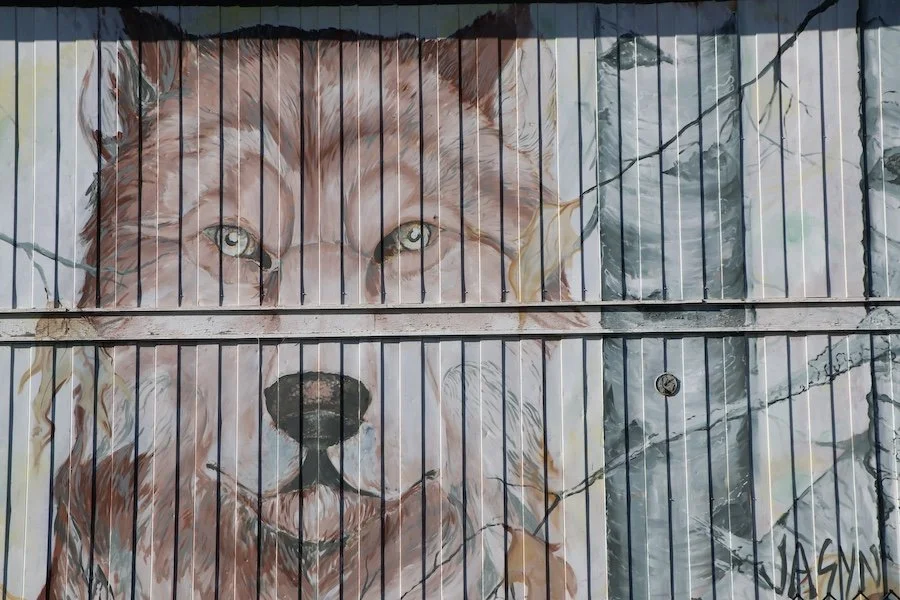 Wolf Art3_SQweb.JPG