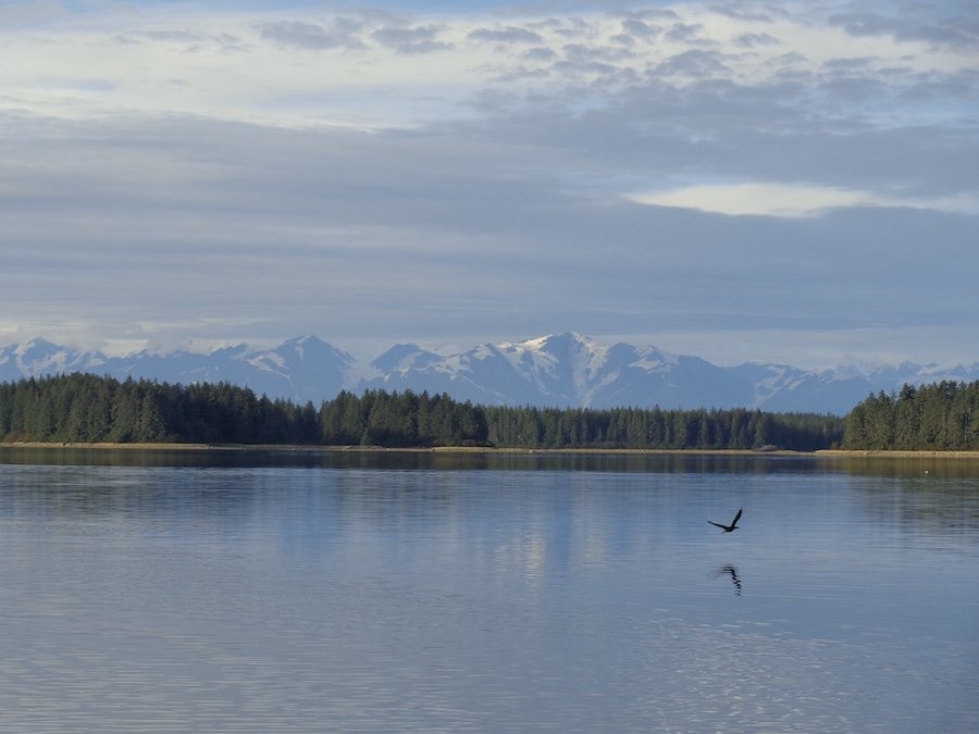 Malaspina Glacier.JPG