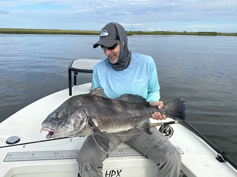Swamp Donkey2_SQweb.jpeg