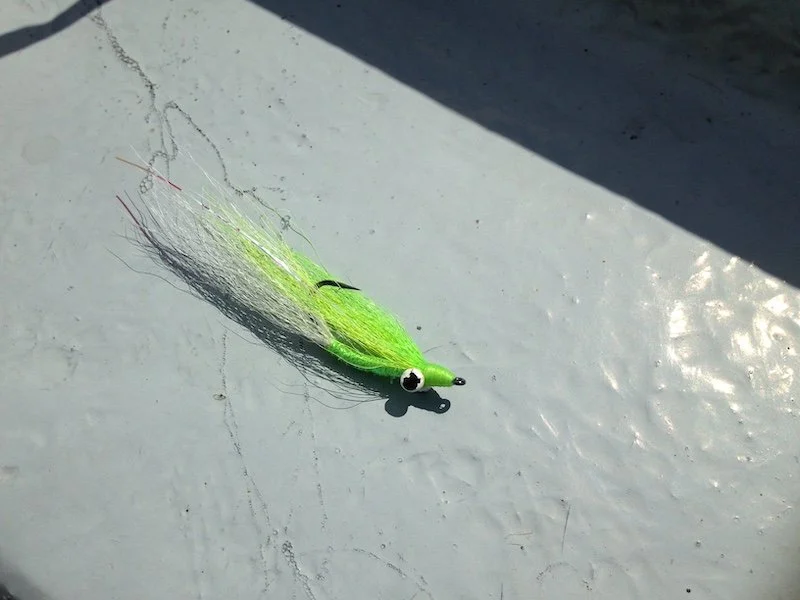 Clouser Minnow_SQweb.JPG