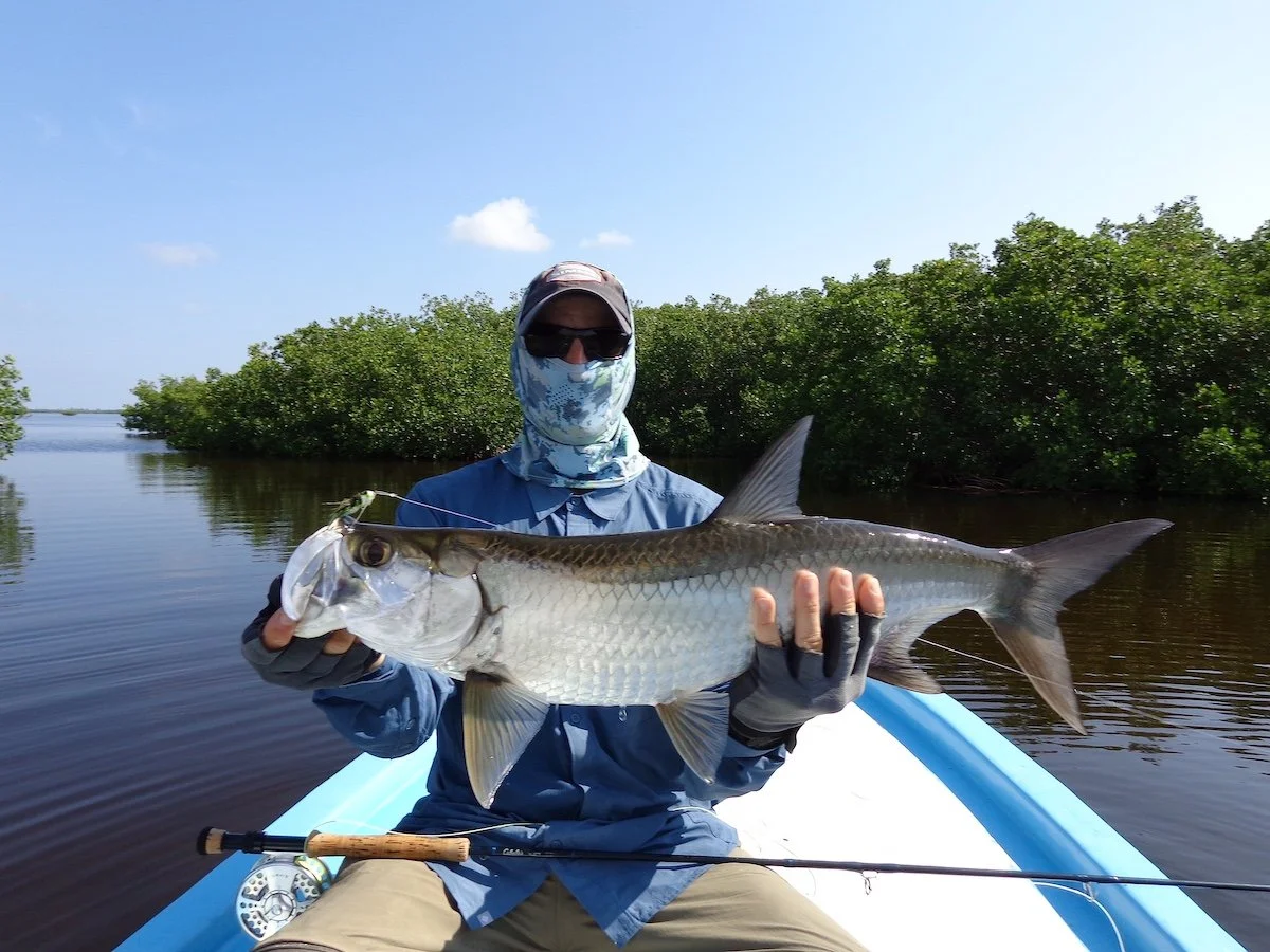 4th Tarpon of Last Day.JPG