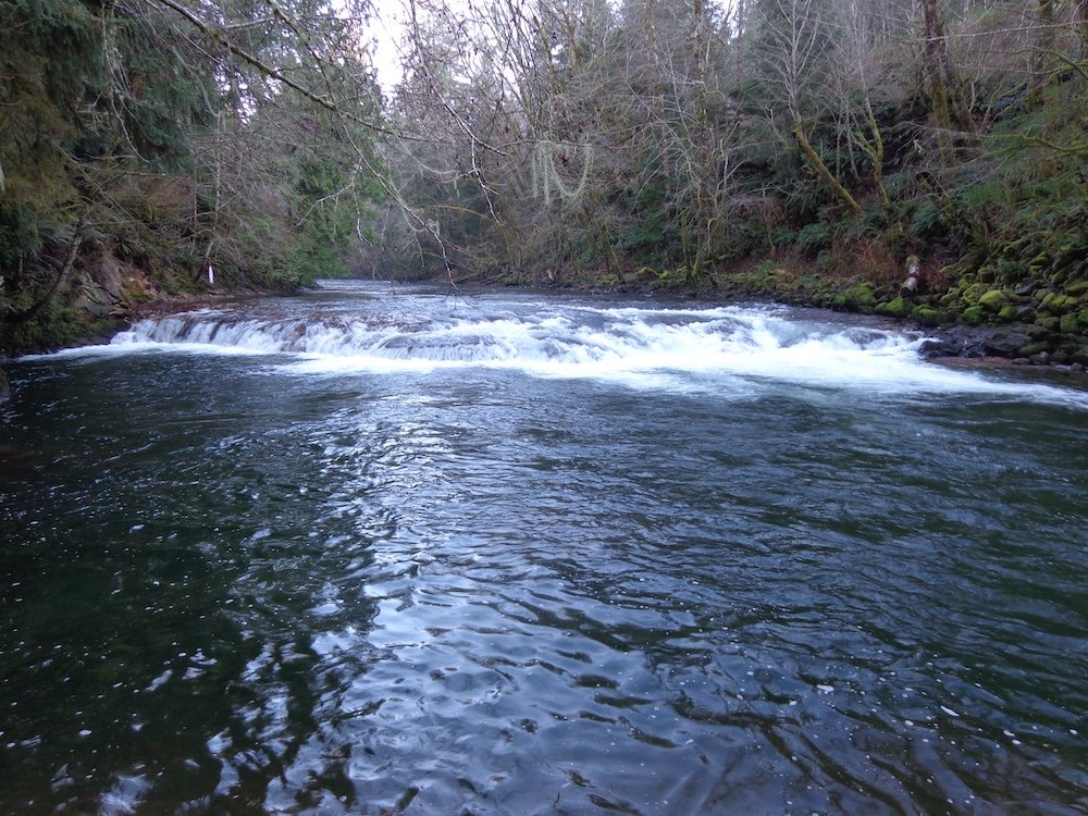 NF Nehalem River_garbage hole.JPG