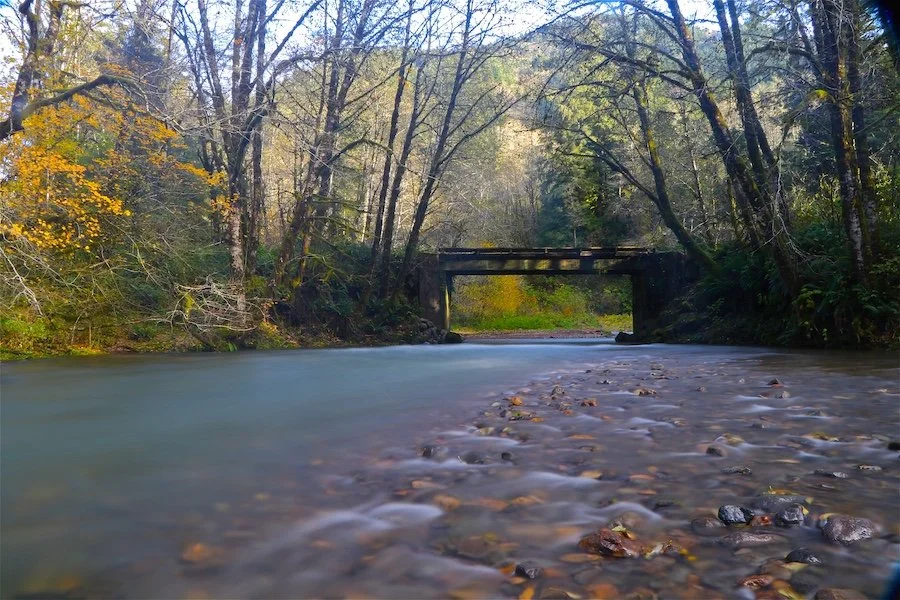 Water under the Bridge_SQweb.JPG