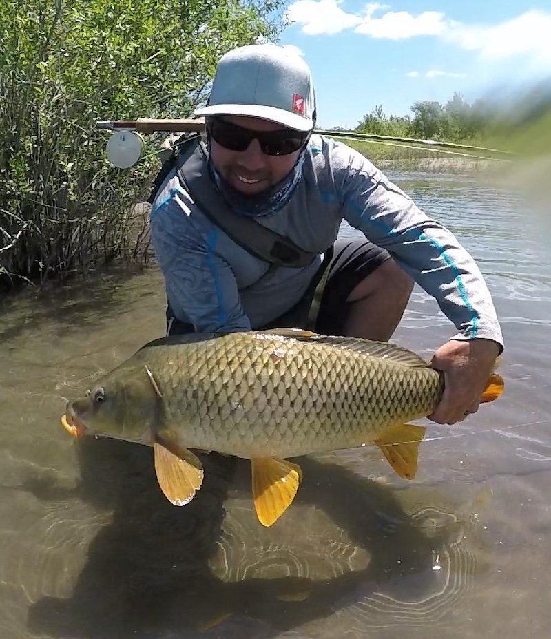 Andy's Carp_SQweb.JPG