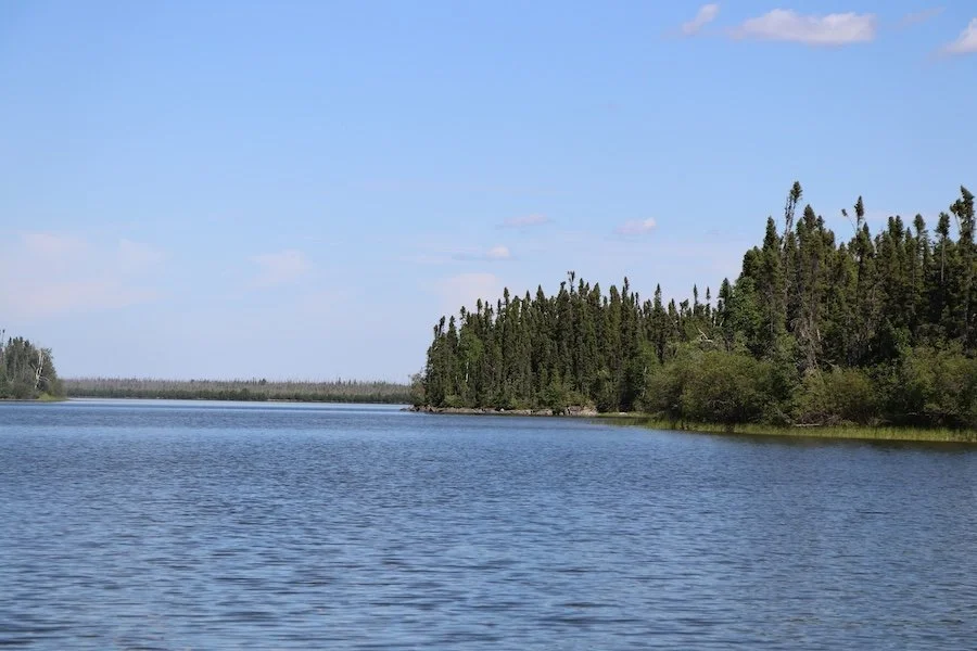 Scenery6_SQweb.JPG