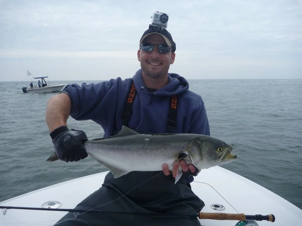 Derek Bluefish_SQweb.jpg