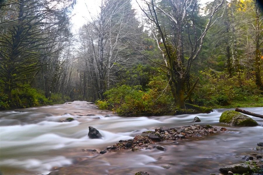 Confluence Rock_SQweb.jpg