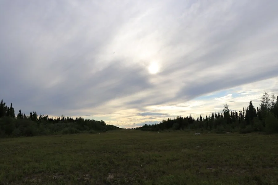 Scenery3_SQweb.JPG