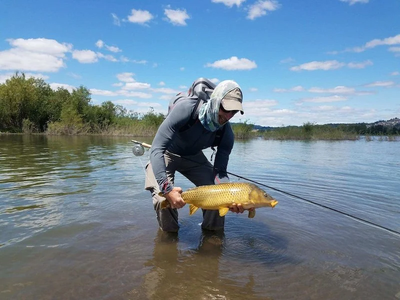 Nice Carp_SQweb.JPG