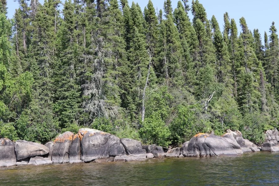 Rocky Shoreline_SQweb.JPG