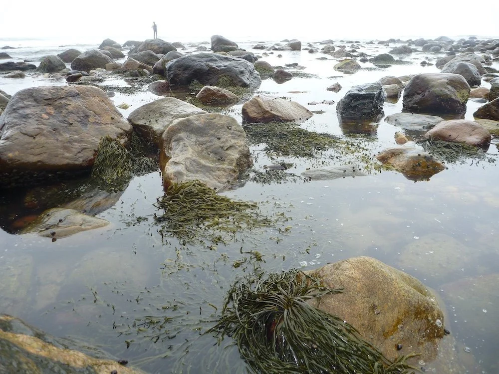 Shoreline Rocks_SQweb.jpg