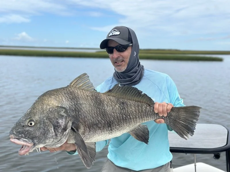 Swamp Donkey_SQweb.jpeg