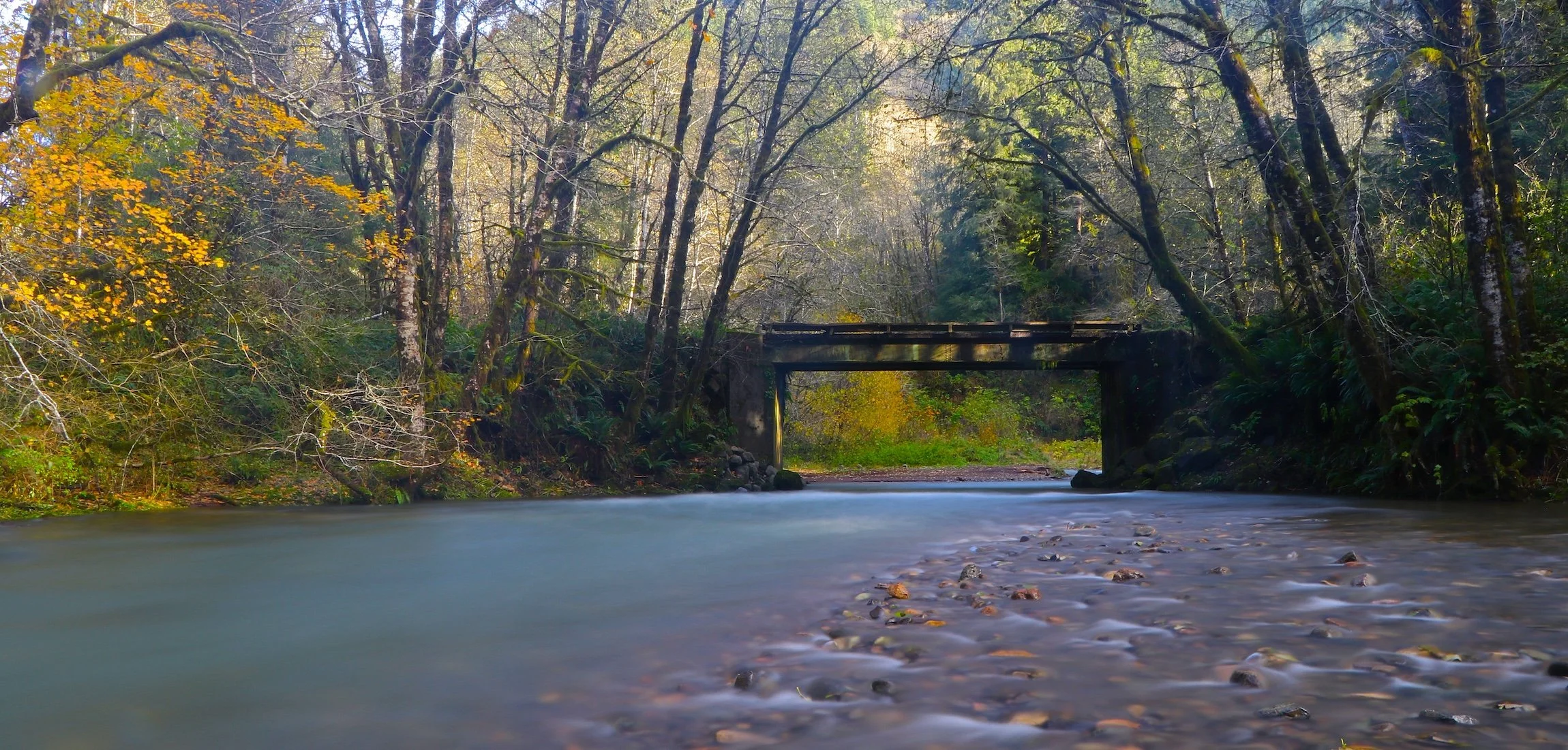 Water under the Bridge_SQweb.JPG
