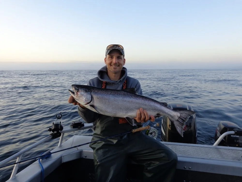 Ocean Chinook on Fly_SQweb.JPG