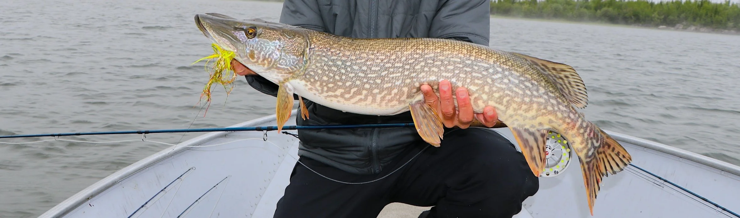 Nice Pike_SQweb.JPG