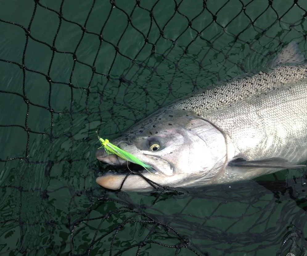 On the Clouser_SQweb.JPG