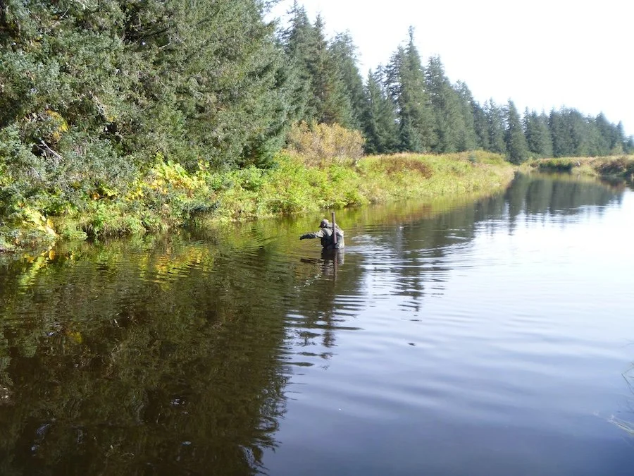 Fly Retrieval.JPG