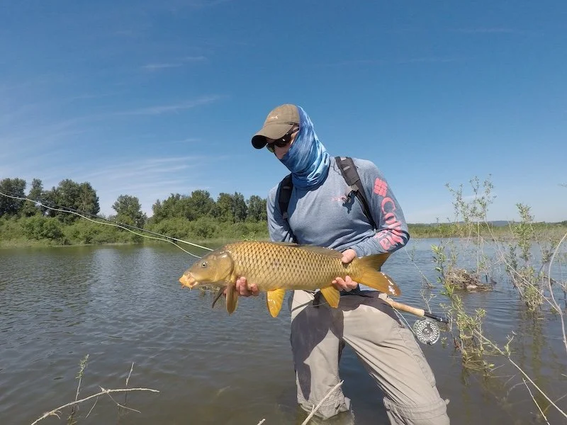 Buff Carp_SQweb.JPG