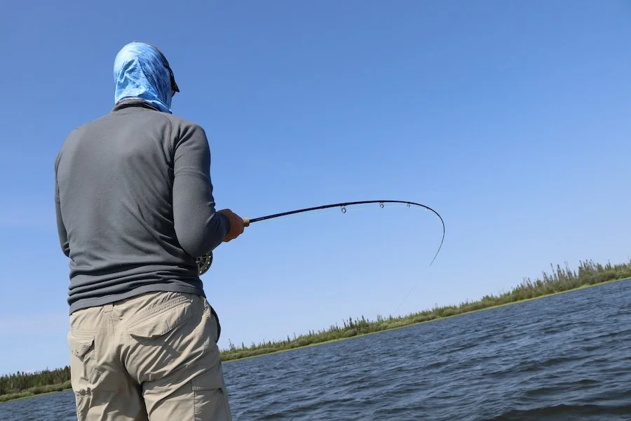 Fish Fight2_SQweb.JPG