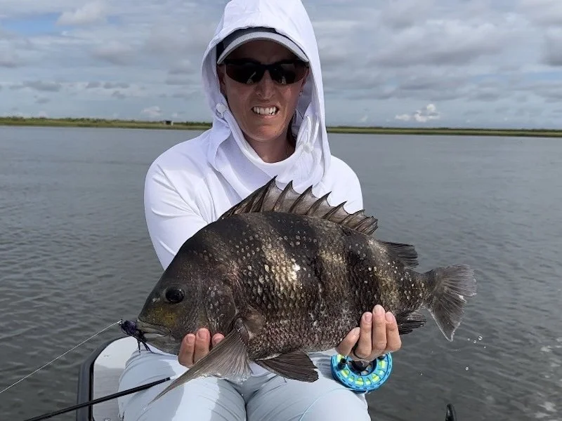 Sheepshead on Fly_SQweb.jpg