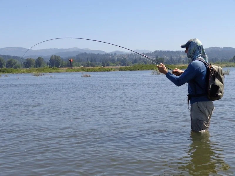 Carp Fight_SQweb.JPG