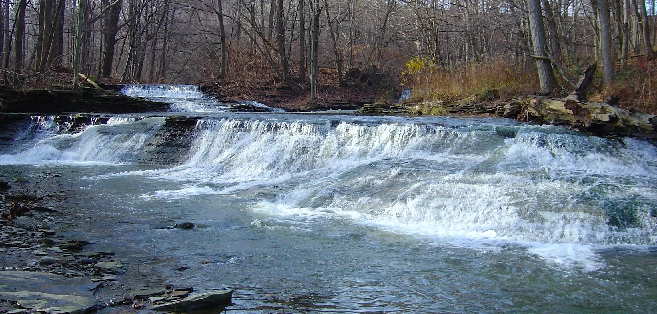 Waterfall_16 Mile Creek_SQweb.jpg